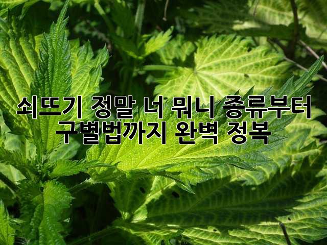 5c2248f55489c71793b01c03418181b9.jpg