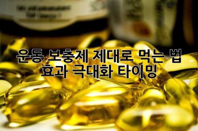 운동 보충제 제대로 먹는 법: 효과 극대화 타이밍