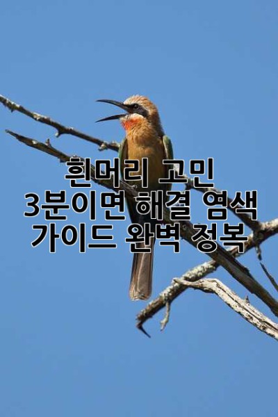 흰머리 고민? 3분이면 해결! 염색 가이드 완벽 정복