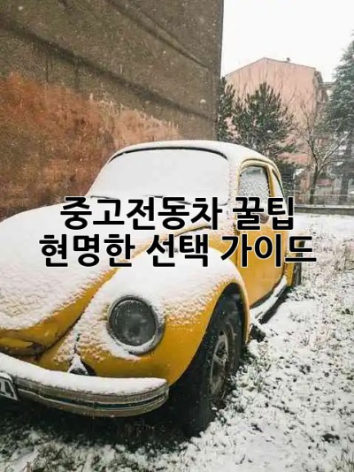 중고전동차 꿀팁🍯 현명한 선택 가이드 🚗💨