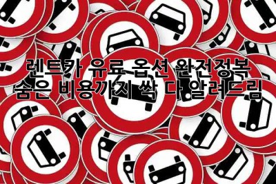 🚗 렌트카 유료 옵션 완전정복! 숨은 비용까지 싹 다 알려드림 😎