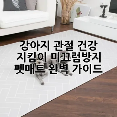 강아지 관절 건강 지킴이, 미끄럼방지 펫매트 완벽 가이드