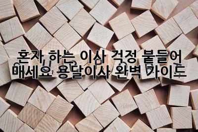 혼자 하는 이사? 걱정 붙들어 매세요! 용달이사 완벽 가이드