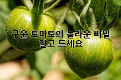 구운 토마토의 놀라운 비밀, 알고 드세요!🍅