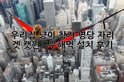 우리집 냥이, 창가 명당 자리 겟! 캣윈도우해먹 설치 후기