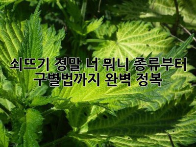 쇠뜨기, 정말 너 뭐니? 종류부터 구별법까지 완벽 정복!