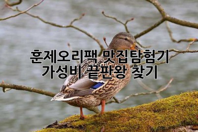 훈제오리팩 맛집탐험기: 가성비 끝판왕 찾기!
