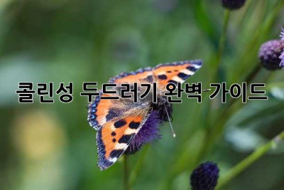 콜린성 두드러기: 완벽 가이드