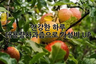 🍎 건강한 하루, 대용량사과즙으로 가성비 UP! 🍏