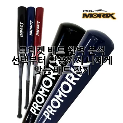 크리켓 배트 완벽 분석: 선택부터 활용까지, 나에게 맞는 배트 찾기🏏