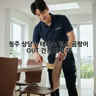 청주 상당구 테라스 청소🧹 곰팡이 OUT! 건강 되찾기💪