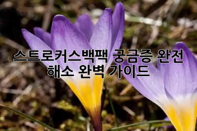 스트로커스백팩🎒 궁금증 완전 해소! 완벽 가이드✨