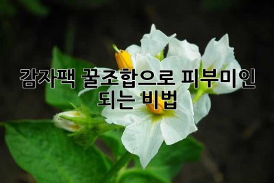 감자팩, 꿀조합으로 피부미인 되는 비법! ✨