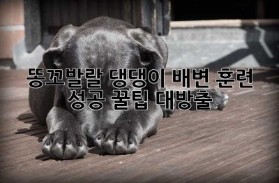 똥꼬발랄 댕댕이, 배변 훈련 성공 꿀팁 대방출!