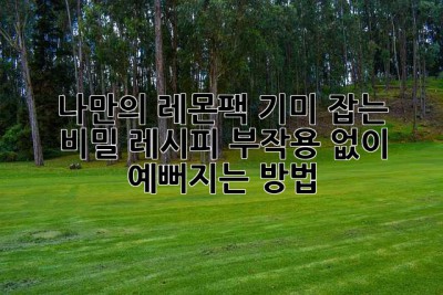 🍋 나만의 레몬팩, 기미 잡는 비밀 레시피! 부작용 없이 예뻐지는 방법