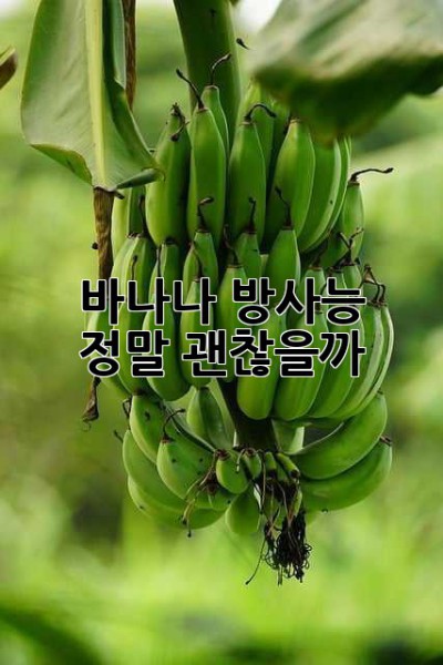 바나나, 방사능?  정말 괜찮을까? 🤔