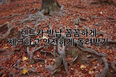 렌트카 반납, 꼼꼼하게 체크하고 안전하게 돌려받기!