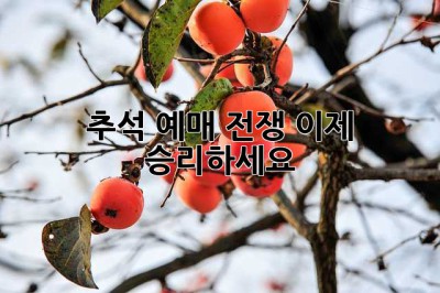 추석 예매 전쟁, 이제 승리하세요!