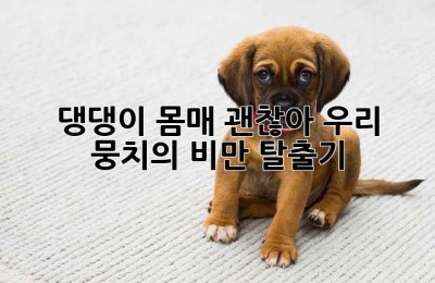 댕댕이 몸매, 괜찮아? 우리 뭉치의 비만 탈출기🐶