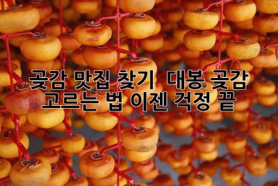 곶감 맛집 찾기? 🤫 대봉 곶감 고르는 법, 이젠 걱정 끝!