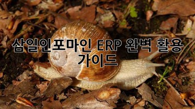 삼일인포마인 ERP 완벽 활용 가이드