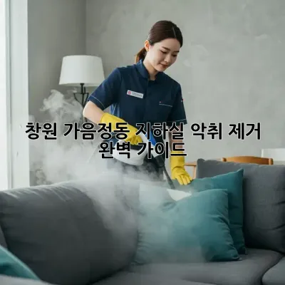 창원 가음정동 지하실 악취 제거 완벽 가이드