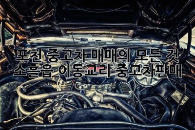 포천 중고차 매매의 모든 것! 🚗💨 #소흘읍 #이동교리 #중고차판매