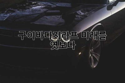 구이바다지라프? 미래를 엿보다!