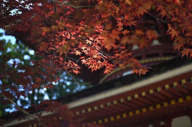 일본문화006.jpg