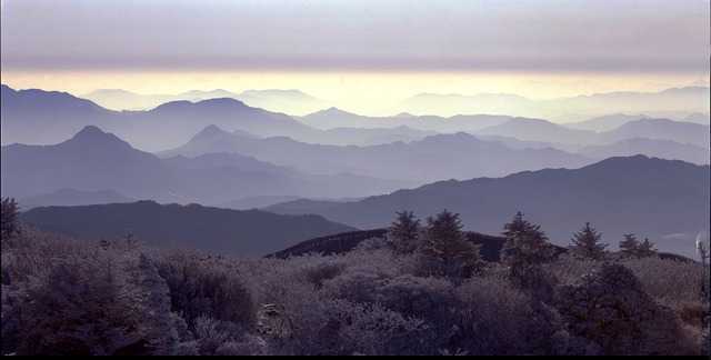 질유산균006.jpg